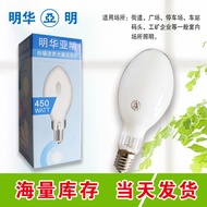 Mercury Light Bulb Fluorescent Bulb