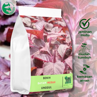 Benih Bayam Merah 1 kg Kotaku Hijau Unggul Nutrisi Tinggi