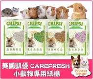 美國 Carefresh《 小動物天然紙棉》倉鼠 黃金鼠 刺蝟 天竺鼠 凱優 紙棉 墊材 紙墊料【Plumes寵物部屋】