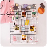 SHOCK* NET FRAME - DECORATIVE MESH BASKET