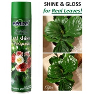 Spray Can Leaf Shine Spray Pengilat Kilat Daun 650ml