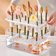 Transparent plastic fish tank, soilless cultivation, balcony gardening, plant box, landscape design 