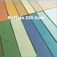 Bufalo Warna Motif / Kertas Bufalo Motif Plano 79x109 cm