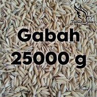 Bangkok Grain Bird Food 25 kg