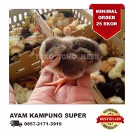 DOC Anak Ayam Joper (Kampung Super)