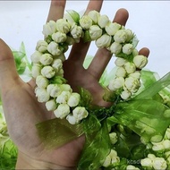Hand Flower Bud Stall Jasmine Guangxi Fresh Fresh Flower Bracelet String Flower Flower Jasmine ZE4O