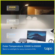 ℡ ➪ ◴ ♡ TP-Link Tapo L535E Smart Light Bulb, Multicolor,Matter