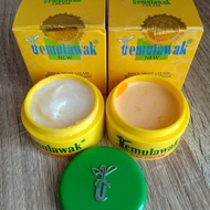 Promo Cream Temulawak Susun Original Import 2in1 Day &amp; Night terlaris