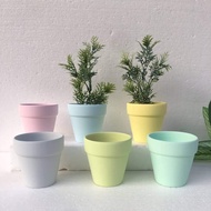Potting Plant Pot Terracotta Pot 陶制花盆 马卡龙色