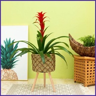 Woven Flower Pot Stand Plant Pot Stand with 3 Legs Flower Holder Planter Stand Holder Plant Pot Stand Indoor hansg hansg