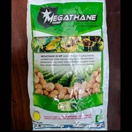 Fungisida MEGATHANE 80WP-1KG