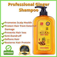 Original Natural Ginger Shampoo hair grower for men original jomtam ginger shampoo ginger hair growth shampoo hair grower for women effective shampoo ng kabayo pampahaba ng buhok dandruff removal shampoo sulfate free shampoo hair shampoo natural shampoo