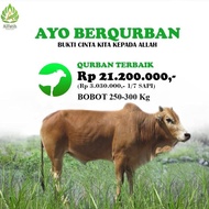 YAYASAN AL-FATIH - SEDEKAH SAPI QURBAN BOBOT 200 - 250 KG