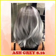 ◺ ☜ ✉ ASH GRAY - Bremod Hair Color Set