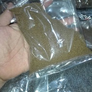 Makanan ikan laga & guppy (dewasa)