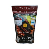 kemasan original 1 kg BIJI BENIH BIBIT TANAMAN JAGUNG JEPANG RAKSASA HIBRIDA IMPOR