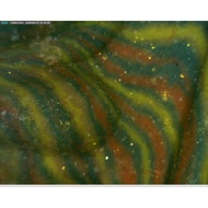 LP PAE'S SOMDEJ PIM KAISER FULL SAI RUNG SWIRLS POWDERS  2517 .