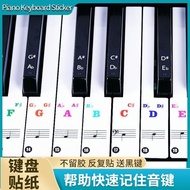 Piano Keyboard Sticker 88/61/54/49 Keys Electronic Keyboard Transparent Keyboard Sticker Notation No