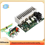 [bilituerm]350W Subwoofer Amplifier Board Mono High Power Subwoofer Amplifier Board DIY Subwoofer Sp