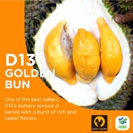 [KLANG VALLEY ONLY] GOLDEN BUN D13 DURIAN PULP @ ECO FARM FRESH FRUIT BUAH DURIAN FLESH 榴莲 GOLDEN SQ