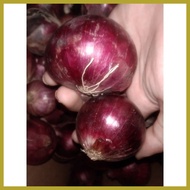✾ ✤ ☌ RED ONION/Sibuyas na Pula/Pulang Sibuyas250 grams,500grams,1 kilo Fresh Gulay (SHIP OUT AGAD)