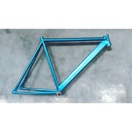 Frame Fixie only Geometry