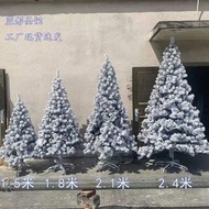 【hj3】 Snowscape caosisi1 Christmas Tree Snow Christmas Tree 60cm 1.5m 1.8m 2-3m White Cking Premium 