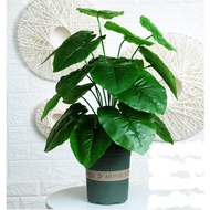 ต้นไม้ปลอม ต้นมอนสเตอร่า มอนสเตอร่า (MONSTERA) สูง 65 ซม. พร้อมกระถาง ต้นไม้แต่งบ้าน [ พร้อมส่ง ]