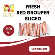 [Agogo Fresh - Fish & Seafood] Fresh Red Grouper Sliced (300g +/-)