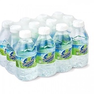 SUMMER DRINKING WATER 12X250ML