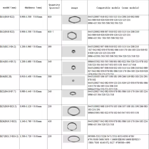 B11 B12 B13 B14 B16 B21 B22 B23 B24 B25 B26 B27 B31 B42 Common Rail Injector Adjusting Shims Gasket