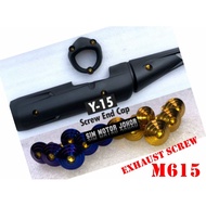 Rear Fender Screw M6X15 Y15ZR Y15Z Y15 (Titanium Blue / Gold) EXHAUST COVER M6x15 Skru Thailand KING