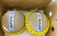 【採收中！嘉義水上 阿露斯2入禮盒(1.4~1.8kg/入)】高貴日系洋香瓜 果肉香甜多汁