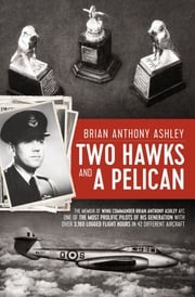 Two Hawks and a Pelican Brian Anthony Ashley