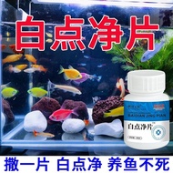 Fish Tank White Dot Net Ornamental Fish with White Dot Small Melon Worm White Dot Net Fish Water Mol