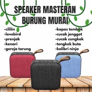 Masteran Mp3 Khusus Burung Murai Batu Air Betina Hutan Trotolan Burung Kicau Suara Jernih