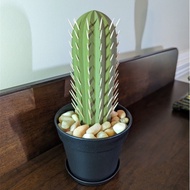 [1918 People Collection] 3D Printing cactus Simulation Potted Toothpick Box Yama CrossBorder cactus 