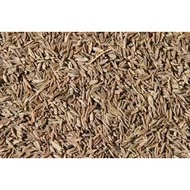 Jintan Putih / Cumin Seed 1kg