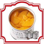 Direct from Japan Kyushu Seasonal Foods Mottainaka Fruit Shiranui Mandarin 6 Cans — Produced in Kyus