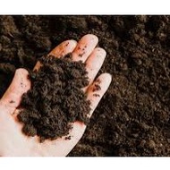 Tanah Hitam Premium Top Class Black Soil 3kgs Nature Garden
