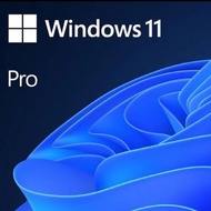 Windows 11 pro original License Key