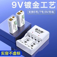 Delip 9V Rechargeable Battery Set 9V Square Battery 6F22 Suitable for Multimeter Voltmeter Square Ba