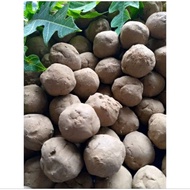 AMPO WHITE CLAY REMOVES BITTER PAPAYA LEAVES 5 Seeds