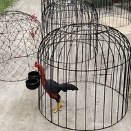 Sangkar Ayam Perang Lipat Penutup Ayam Perang Sangkar Ayam Perang Sangkar Besi Ayam Perang Sangkar K