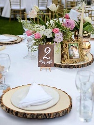 10入組有樹皮的圓形天然木片,濃厚的婚禮桌面點心杯墊,diy工藝裝飾,手繪禮物