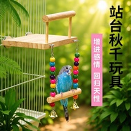 Mainan burung nuri, ayunan berwarna-warni, mainan cakar burung nuri, mainan burung, aksesori sangkar