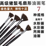 Ji Beautiful Wild Boar Hair Brush Fan-Shaped Pen Oil Painting Fan-Shaped Brush Pig Hair Water Chalk 