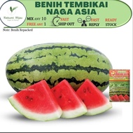 3 biji benih TEMBIKAI NAGA ASIA buah 8-12kg watermelon seed