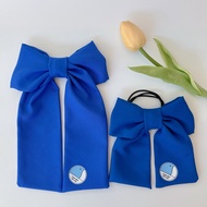 Hair clip for Vietnam Youth Union (Vietnam Youth Union Association)