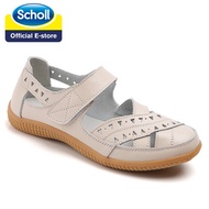 Scholl รองเท้าผู้หญิง รองเท้าแตะ Scholl รองเท้าผู้หญิง รองเท้าแตะ Scholl รองเท้าผู้หญิง รองเท้าส้นแบ